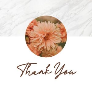 Thermosd Handwritten Signature